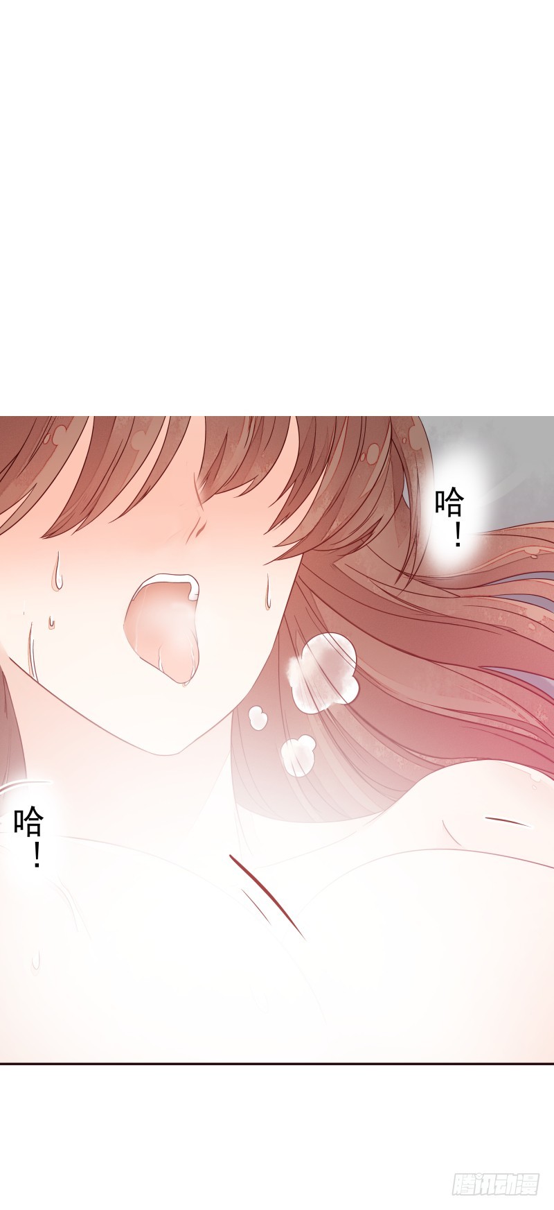 和评议会3