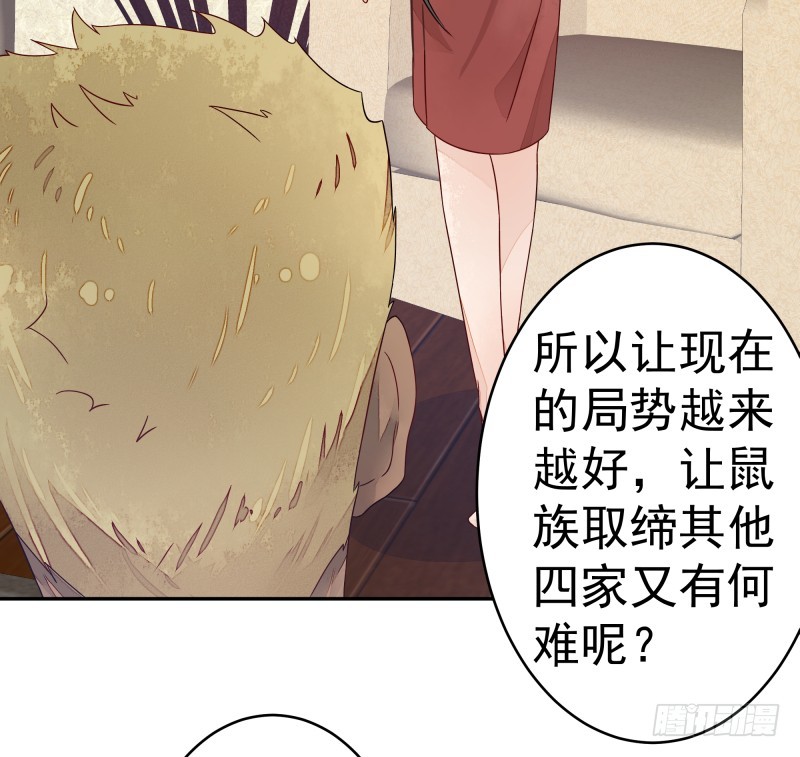 和评议会31