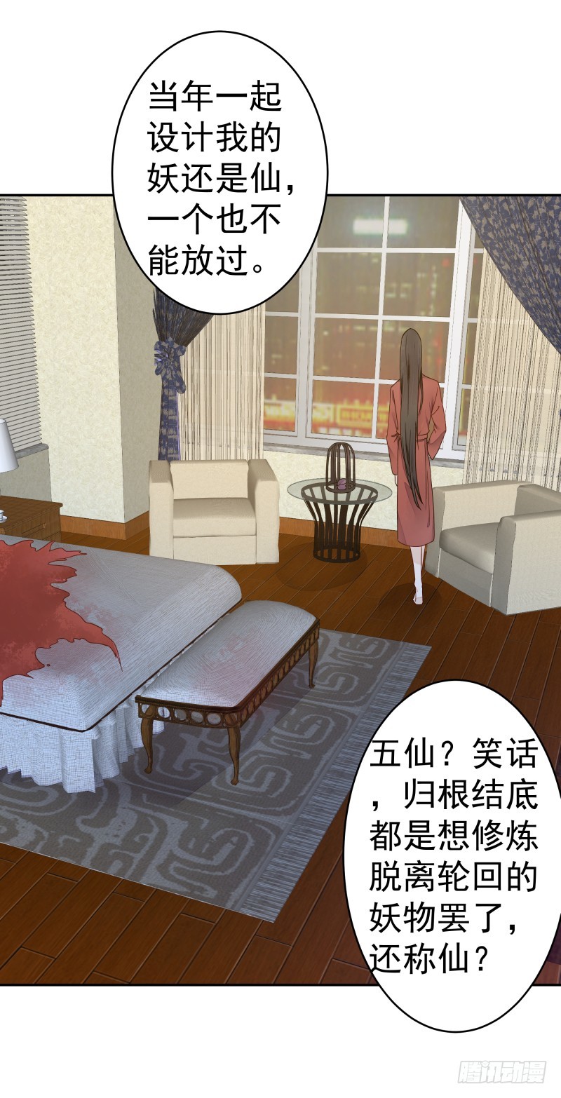 和评议会40