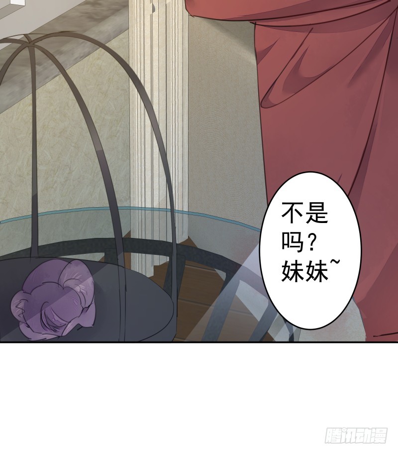 和评议会42