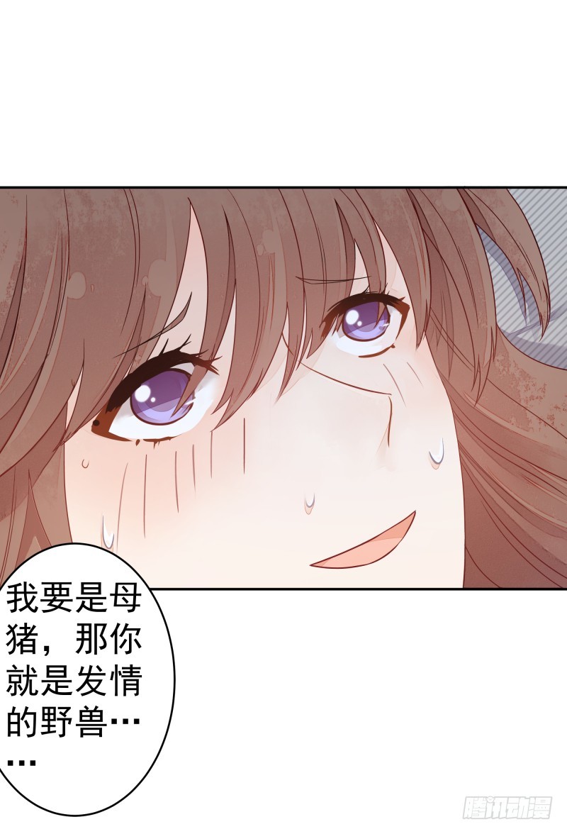 和评议会9