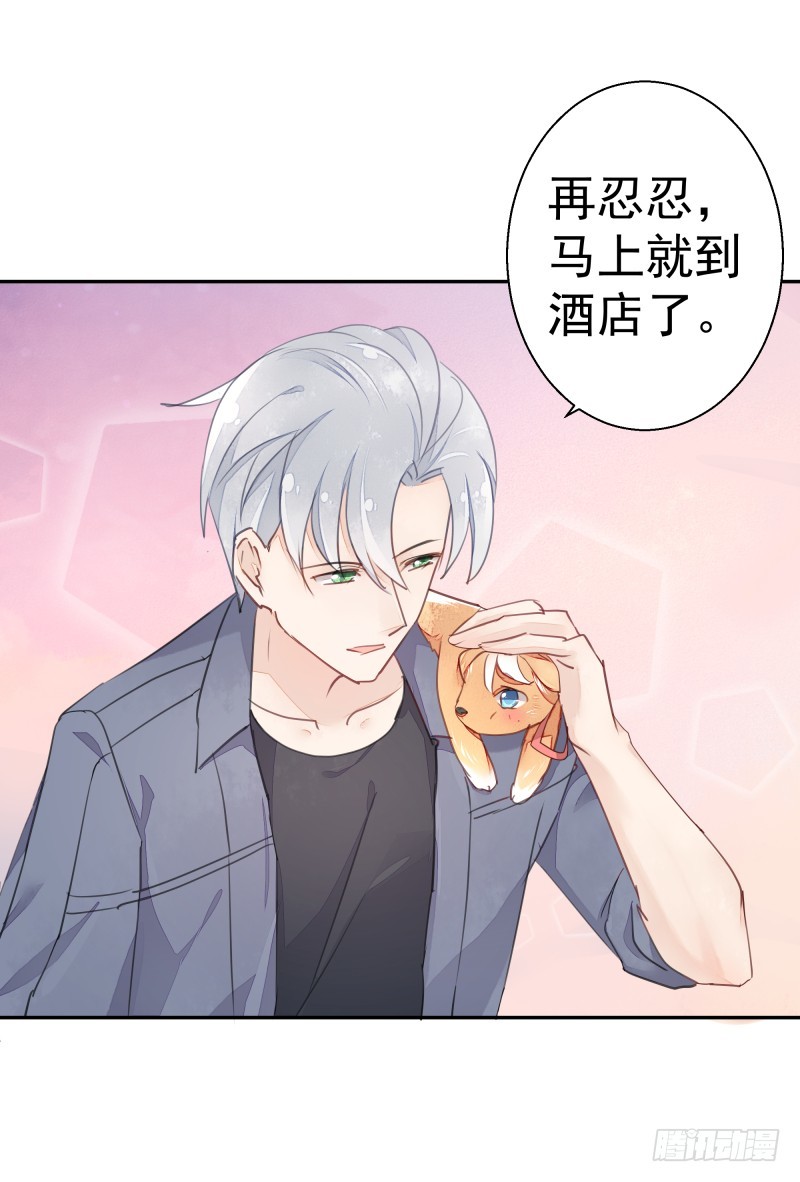 和平会议二52