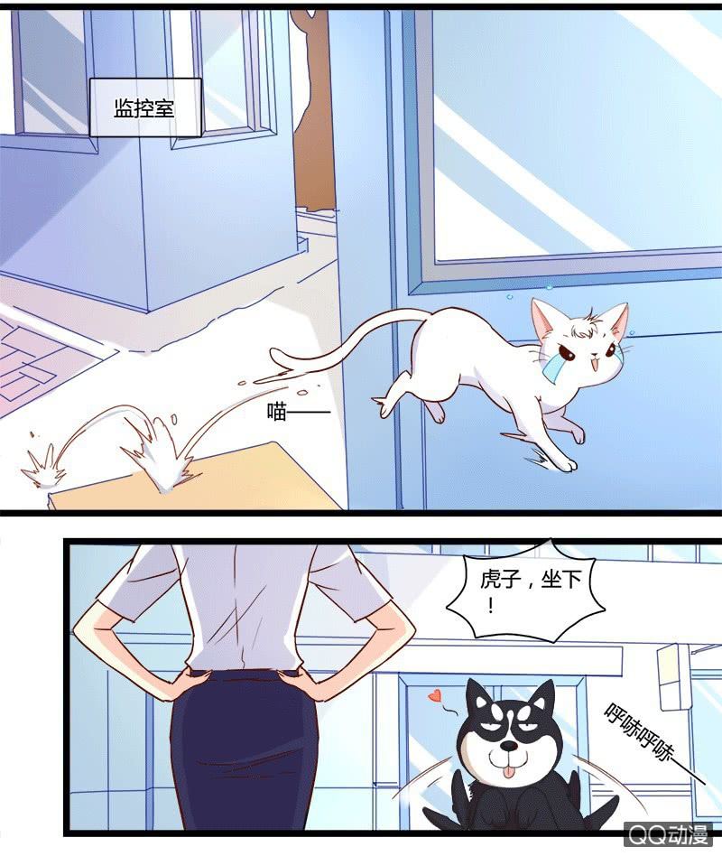 0130变身危机0131邀约13