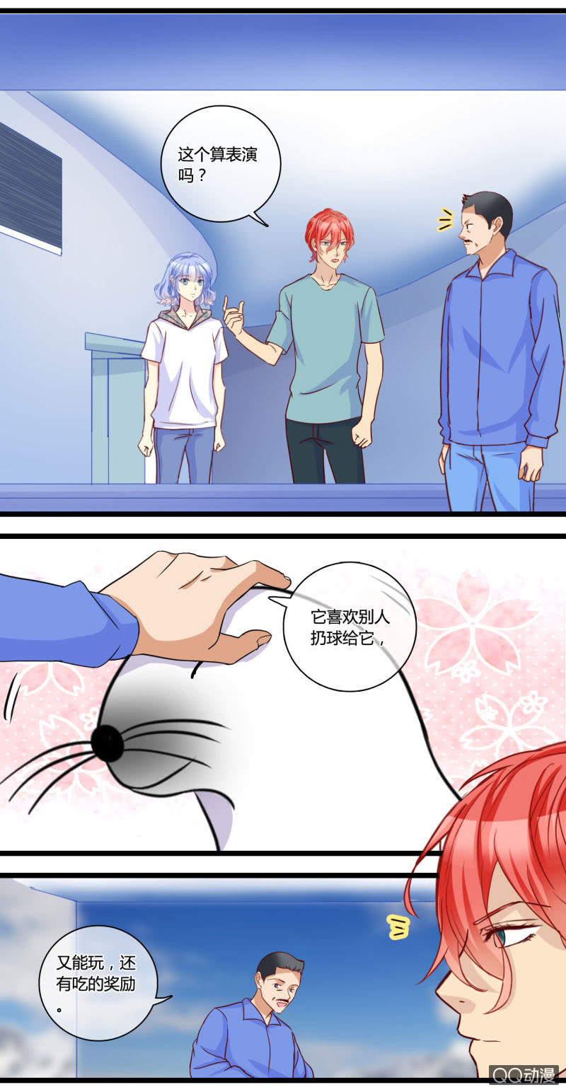 0142游乐园0143摩天轮8