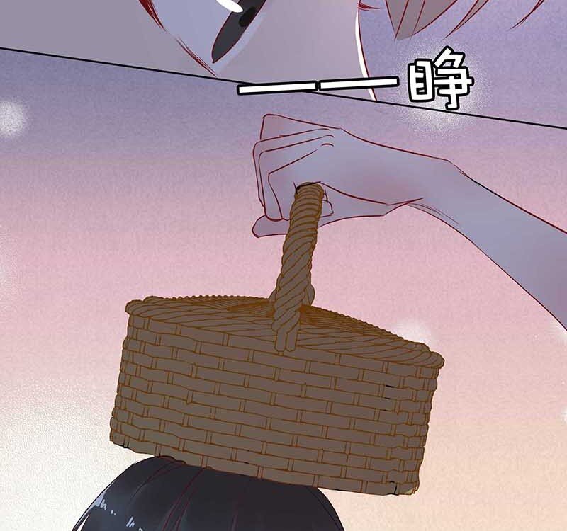 11 玫瑰篇540