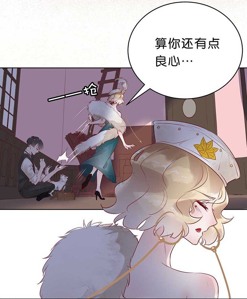 11 玫瑰篇549