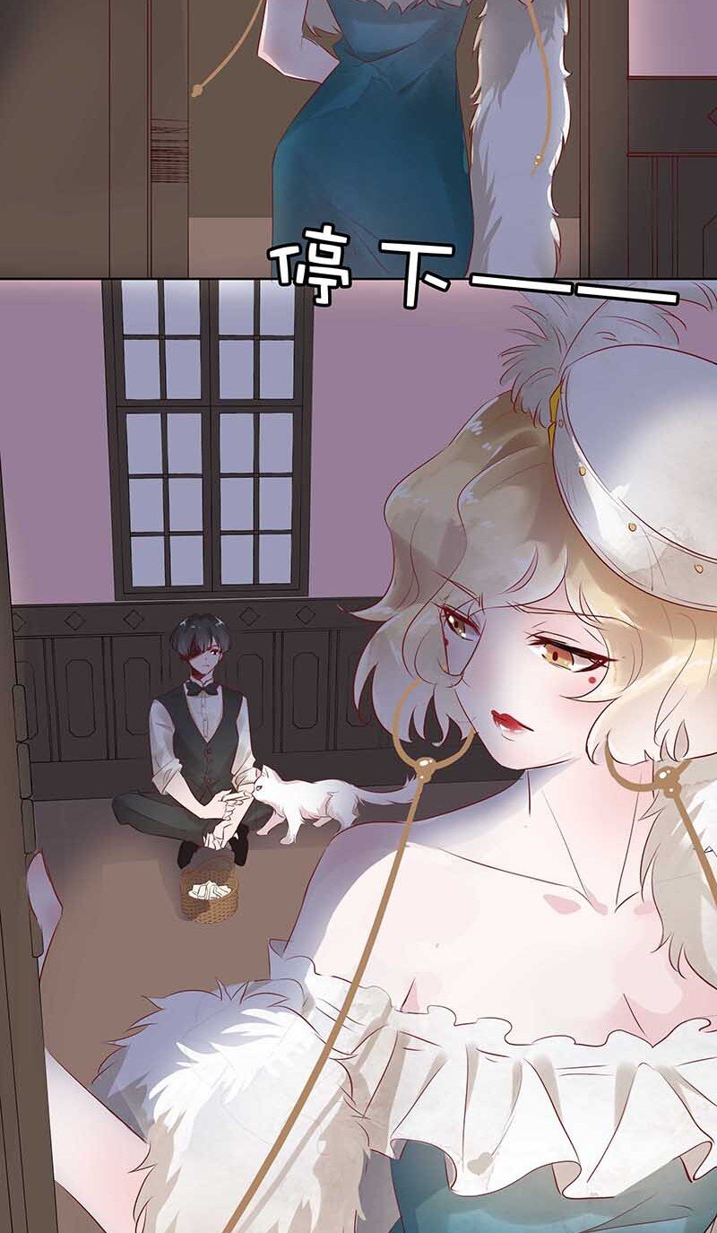11 玫瑰篇555