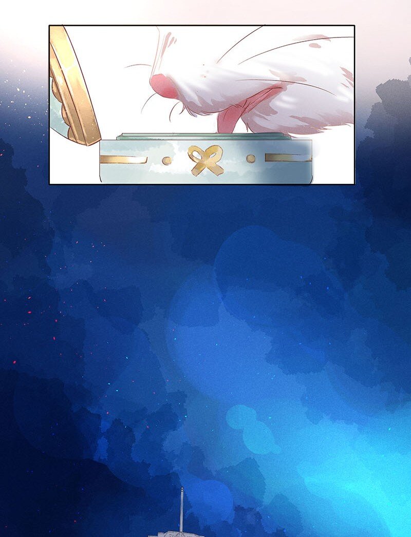 12 玫瑰篇630