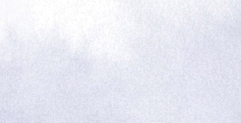 18 舒曼篇460