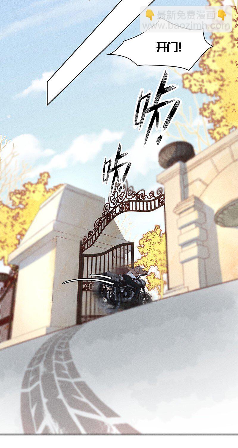 19 舒曼篇520