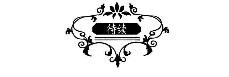 19 舒曼篇558