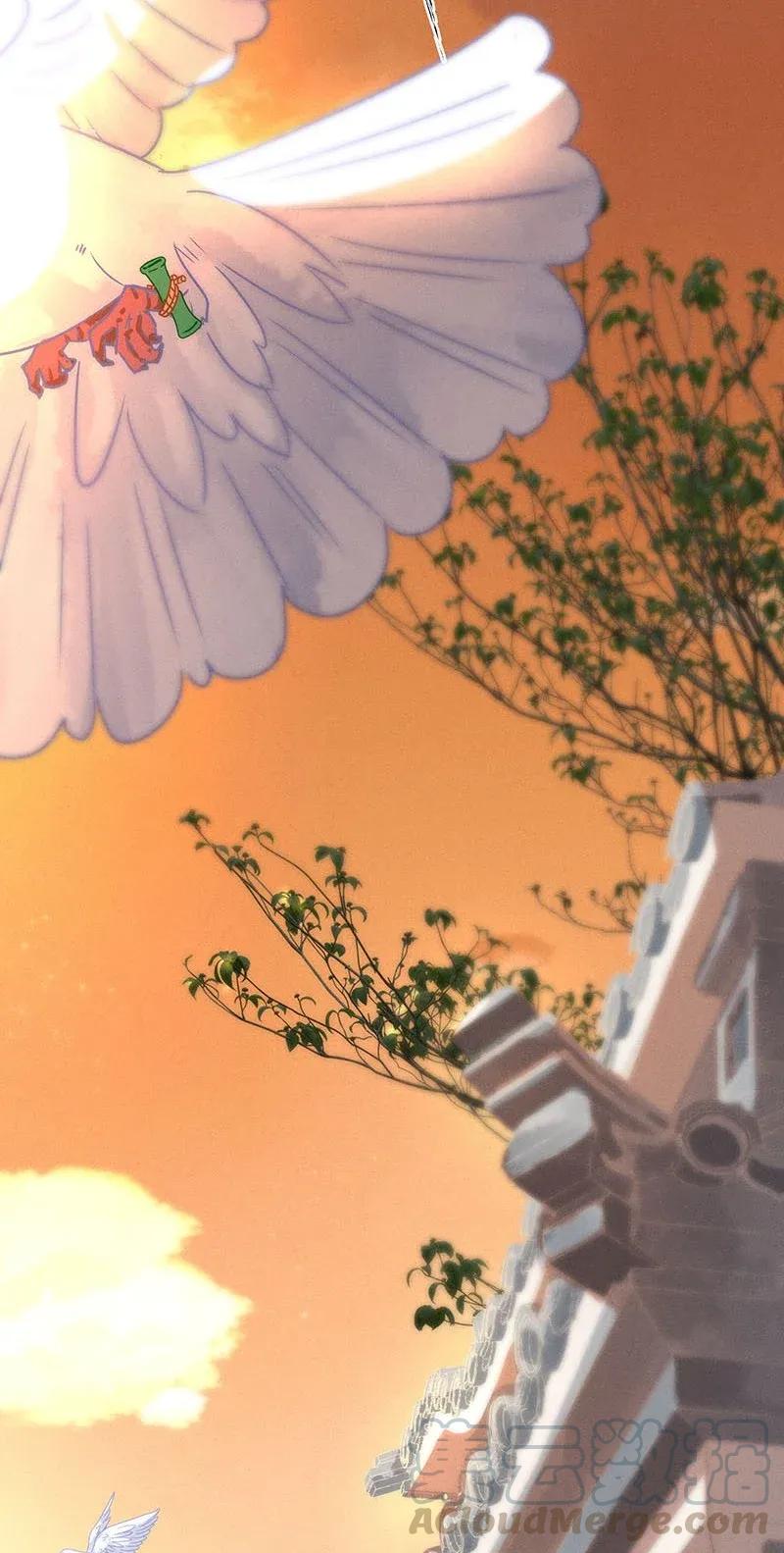 48 花霜篇416