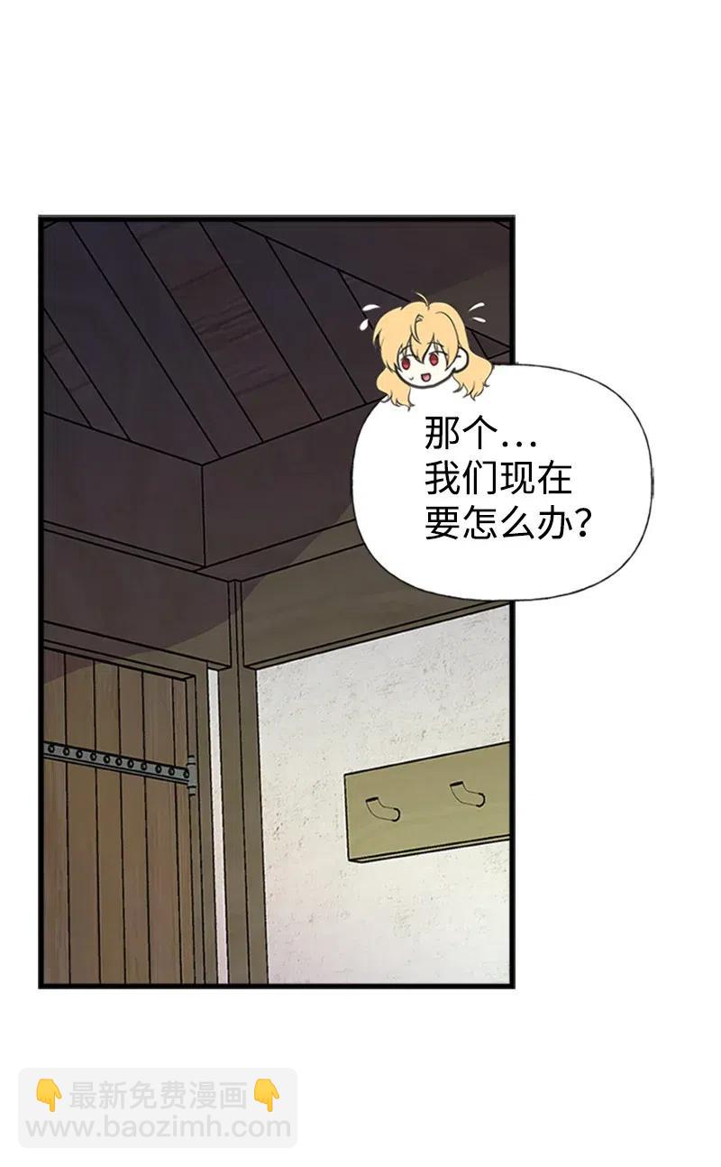 17 得到许可34