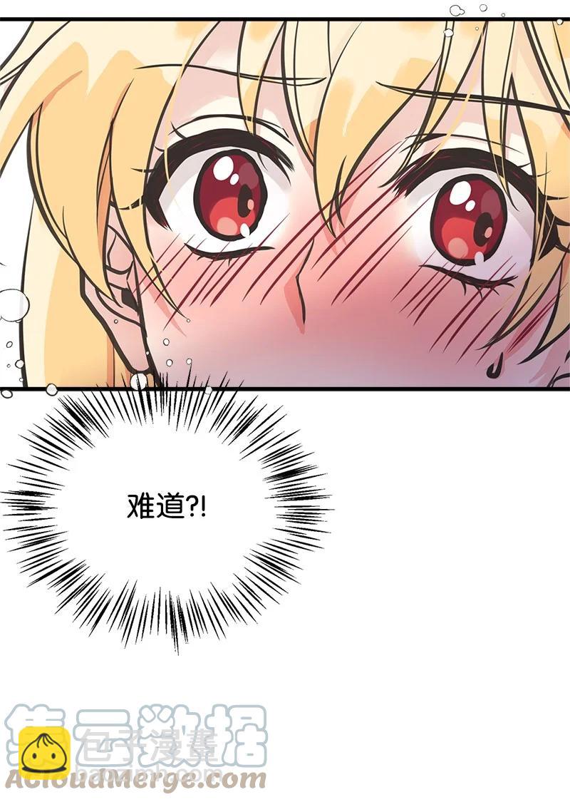 48 帕尔的故事3