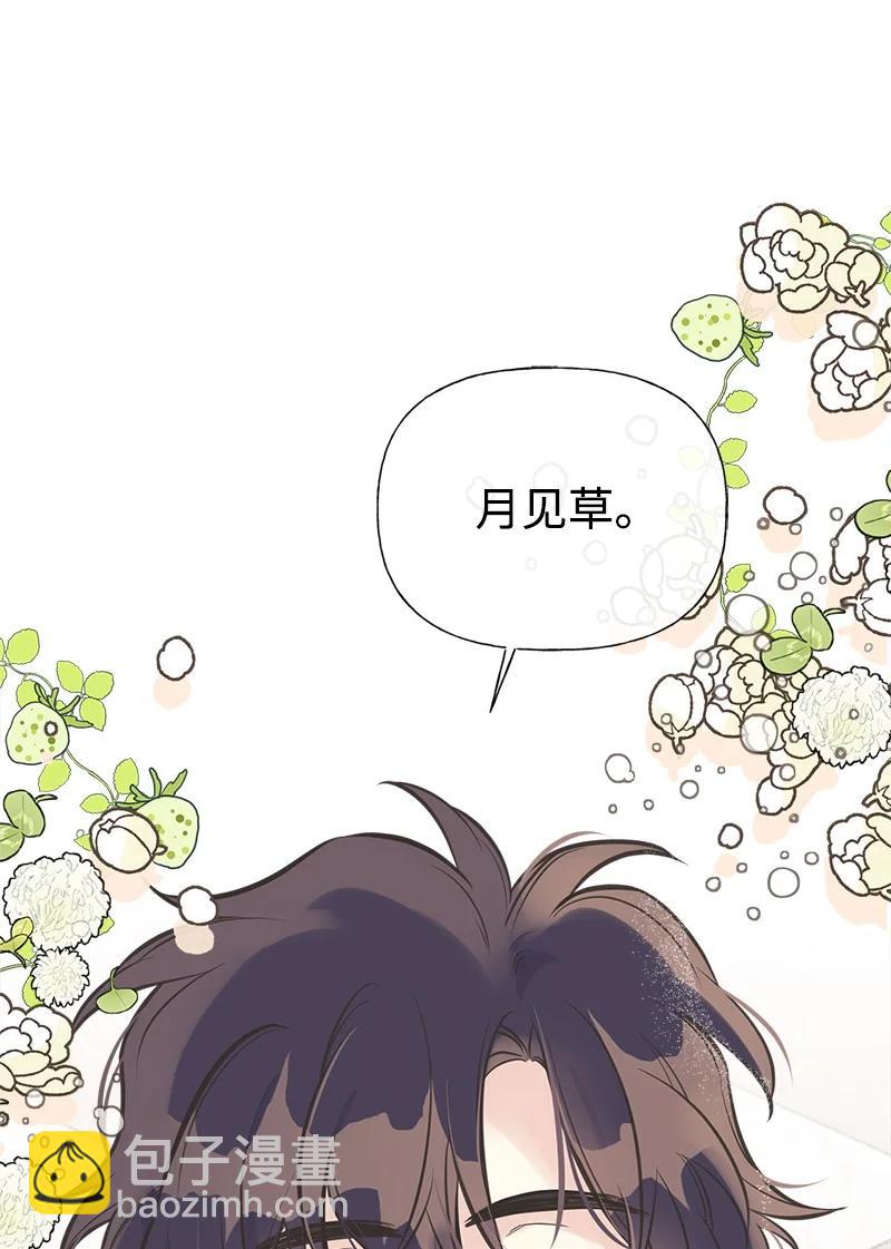 48 帕尔的故事41