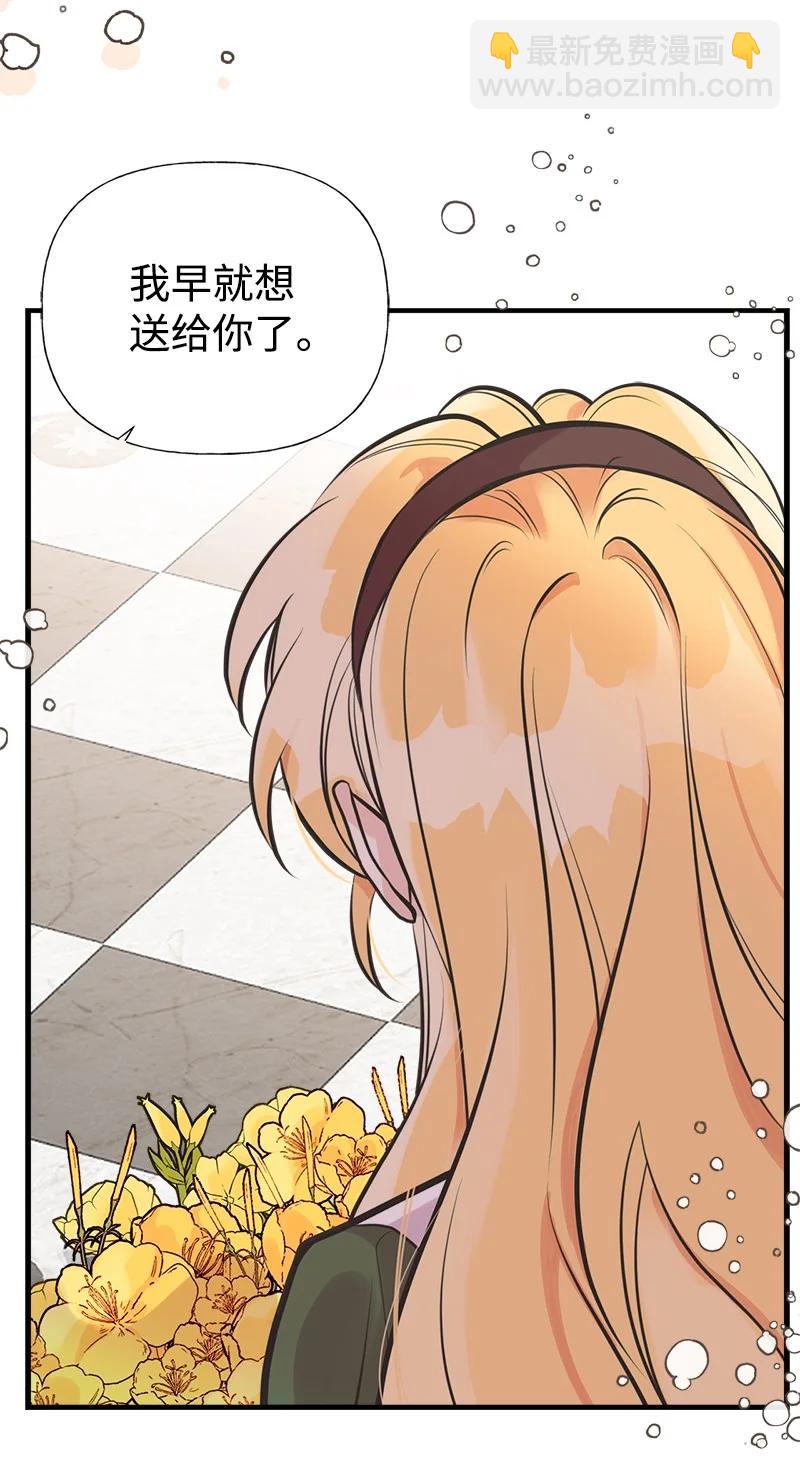 48 帕尔的故事43