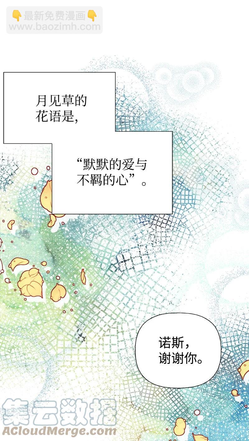 48 帕尔的故事45