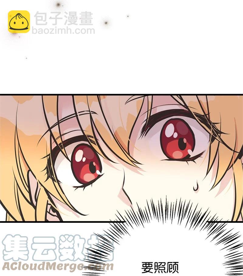 48 帕尔的故事61