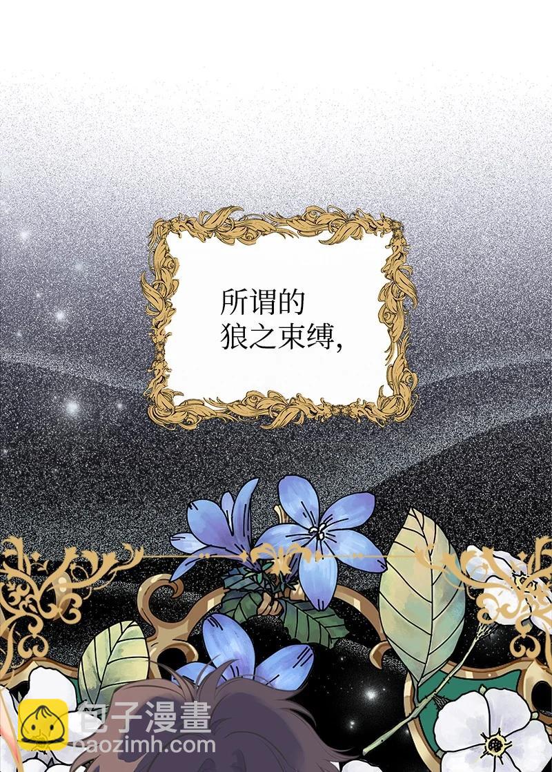 48 帕尔的故事78
