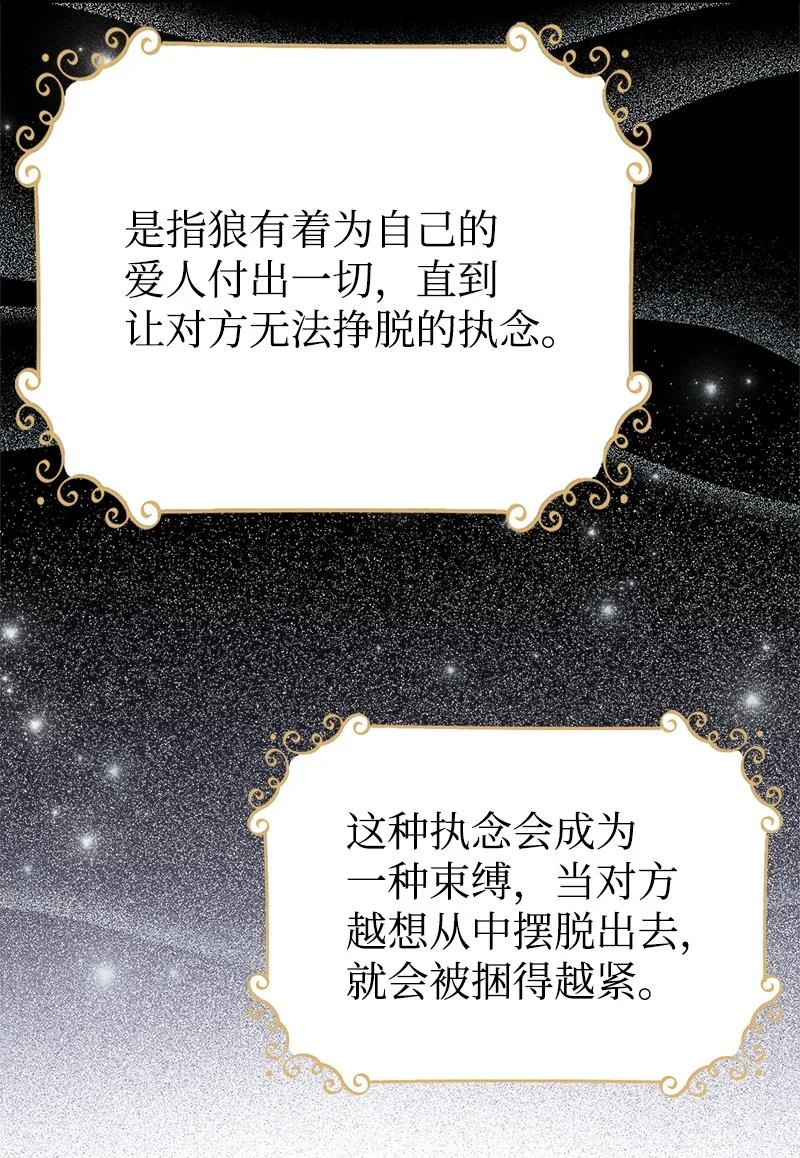48 帕尔的故事80