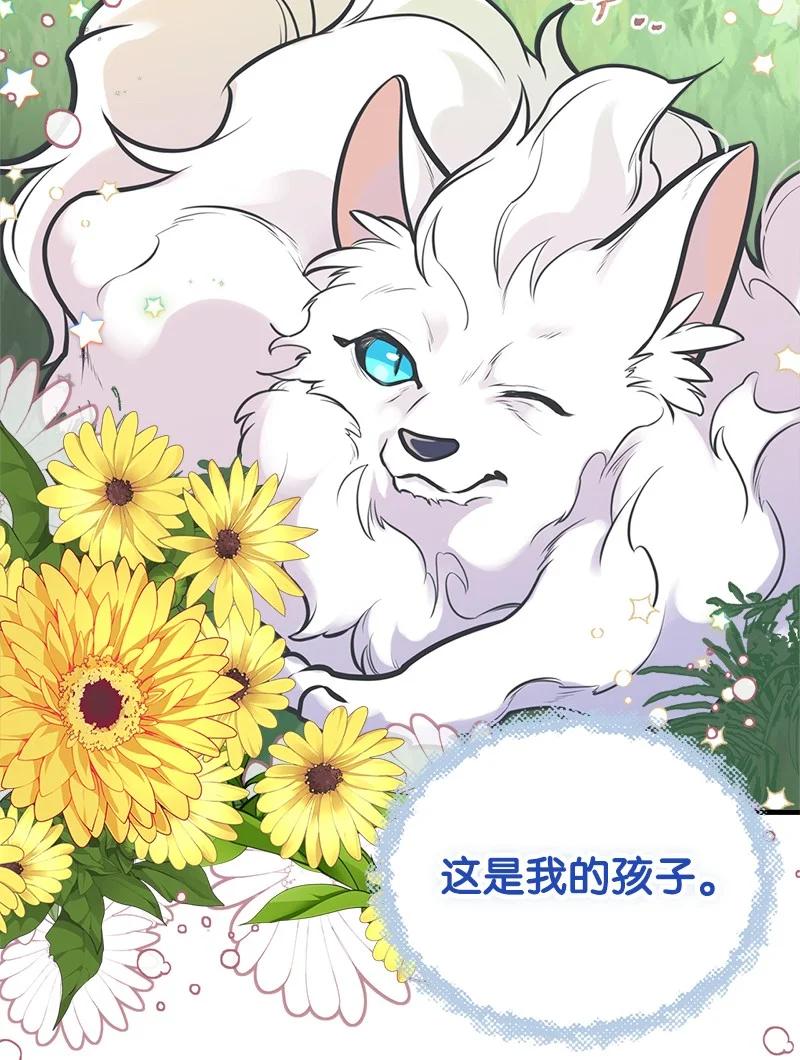 51 与帕尔的契约38