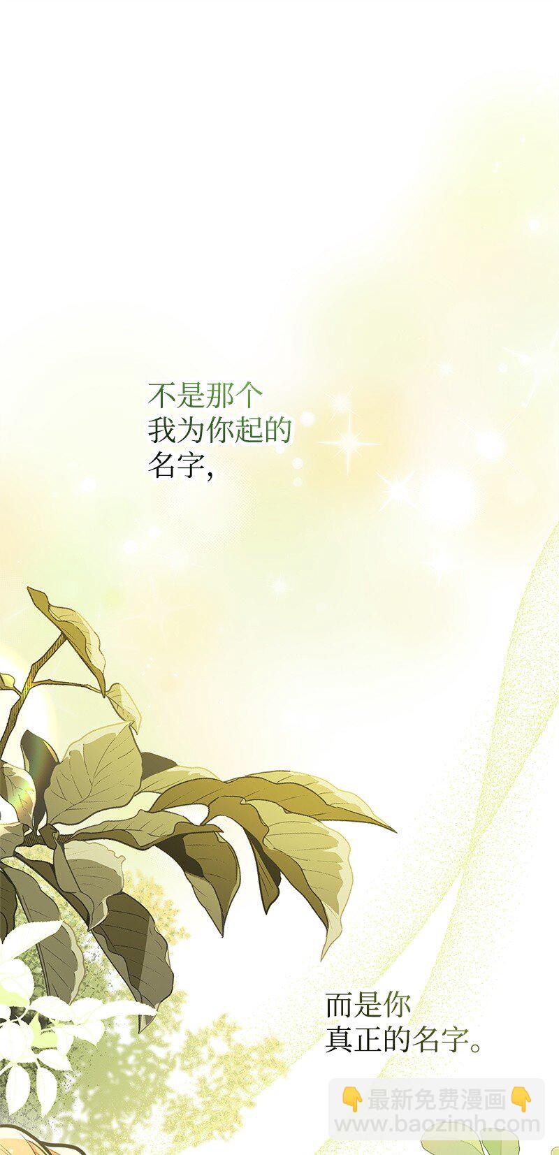 66 令人心安的男人79