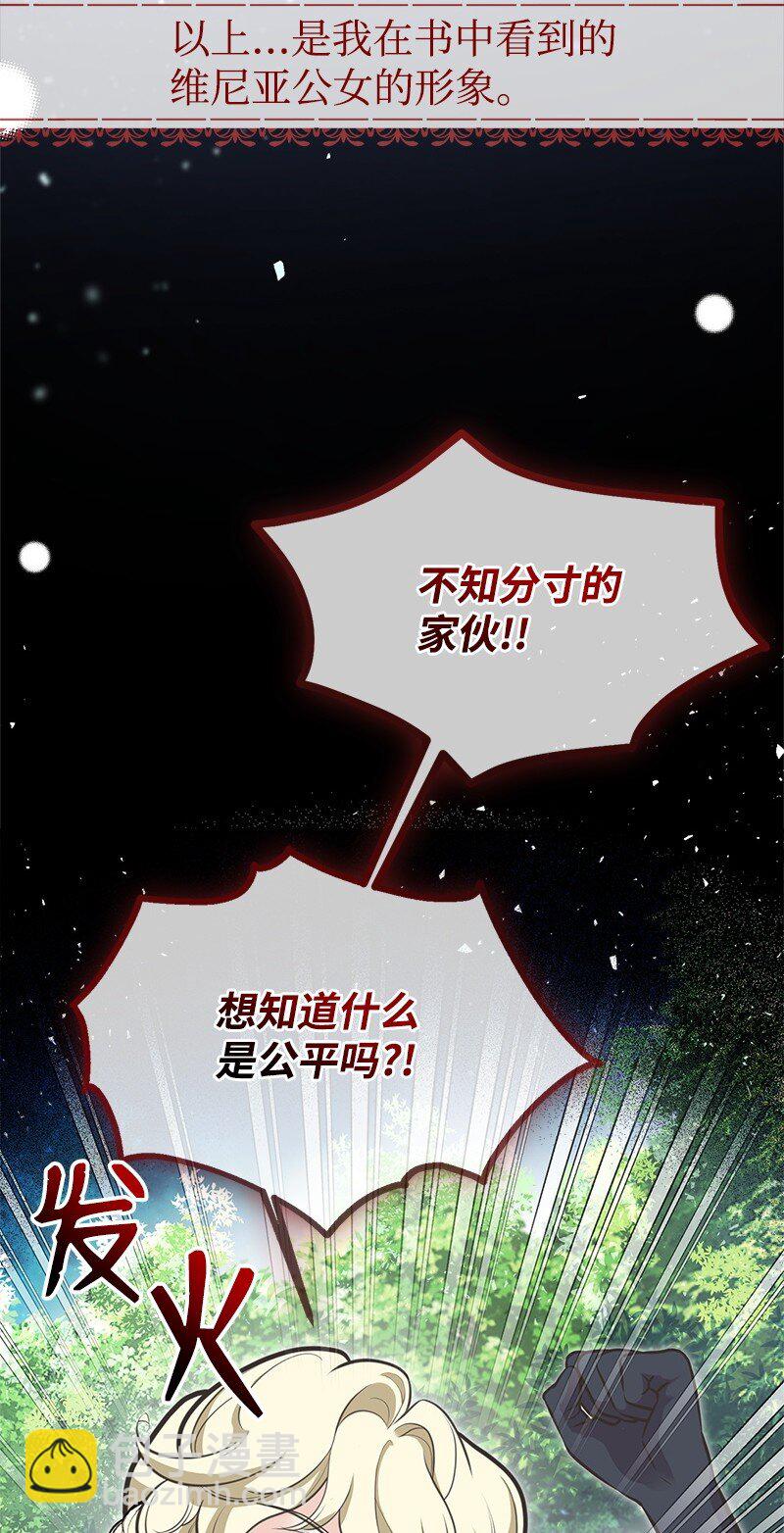 67 公女的另一面21