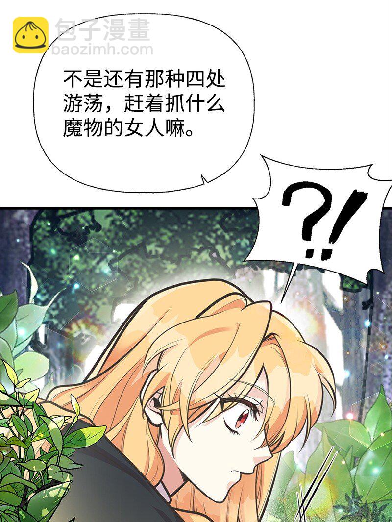 67 公女的另一面38