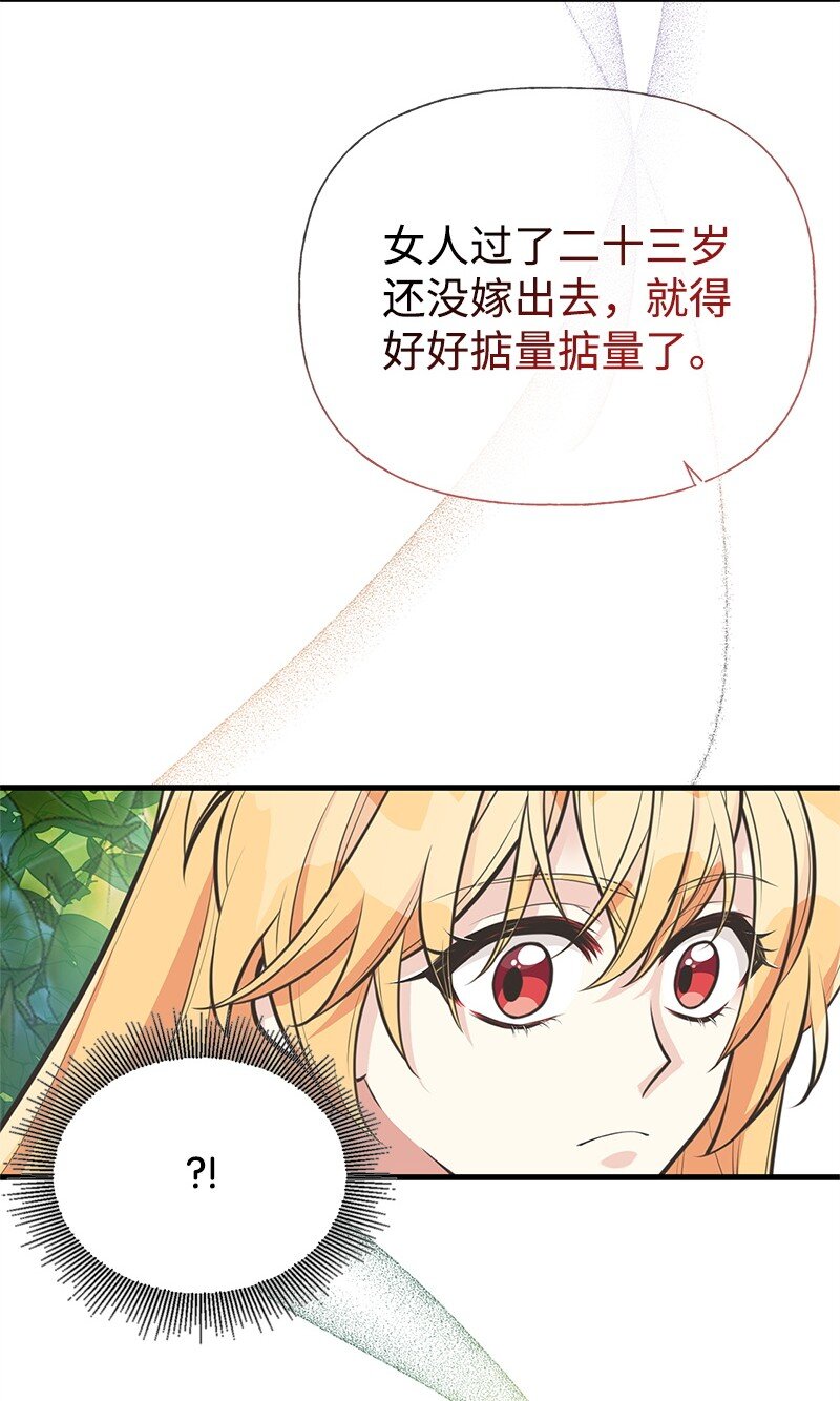 67 公女的另一面41