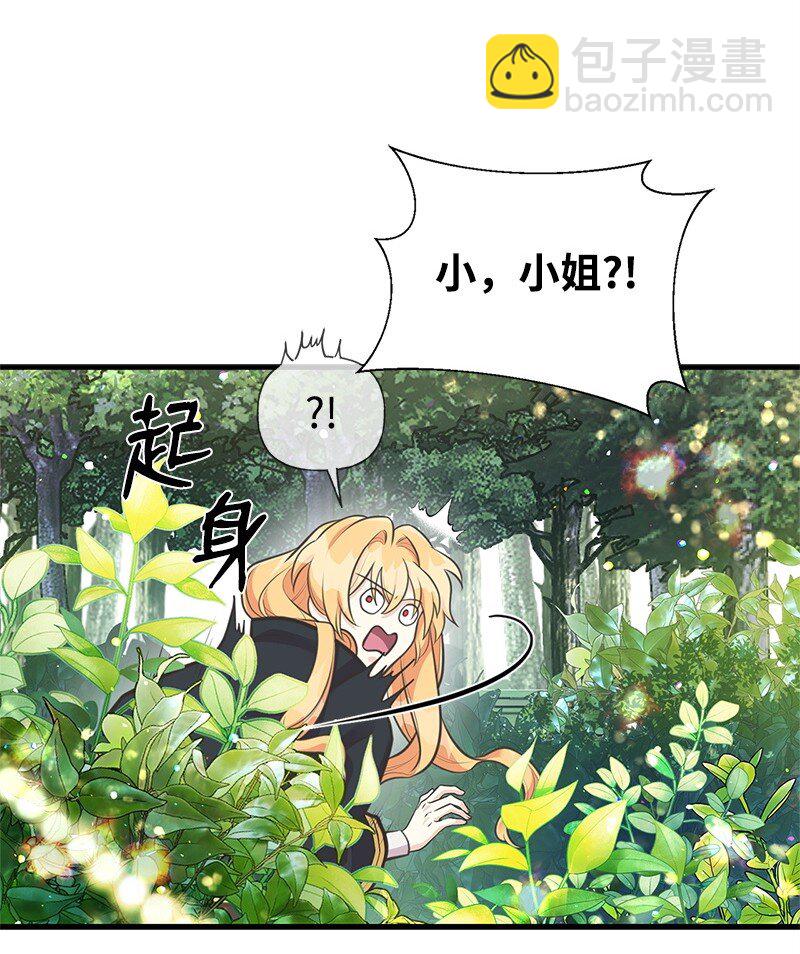 67 公女的另一面43
