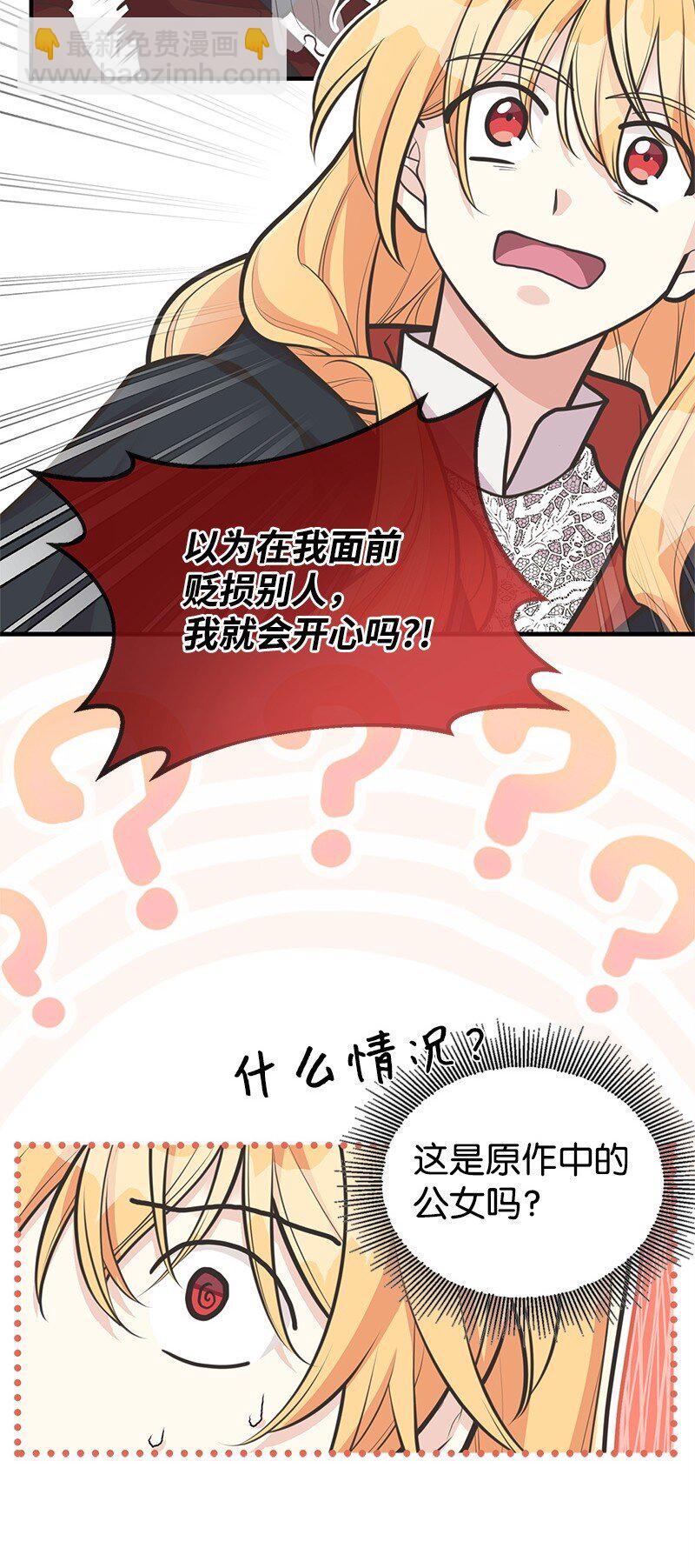 67 公女的另一面45