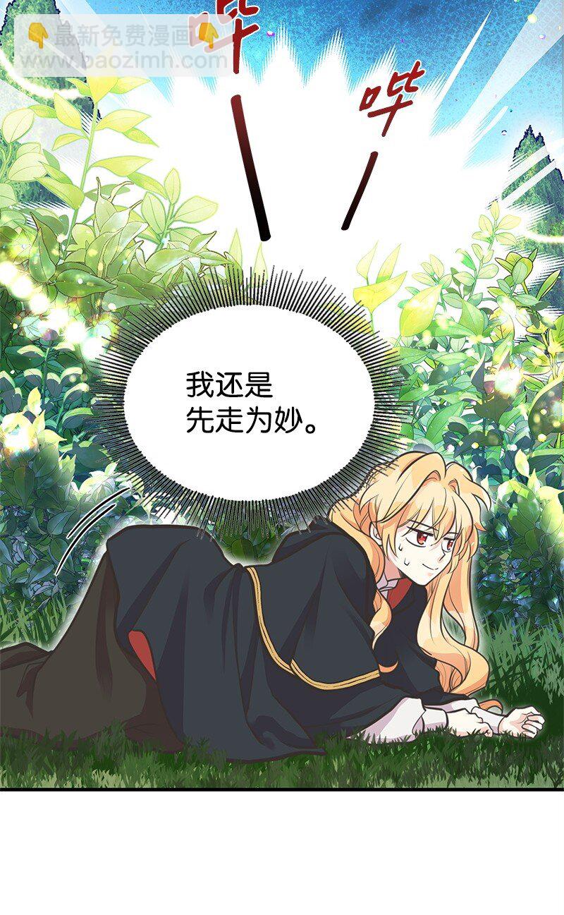 67 公女的另一面52