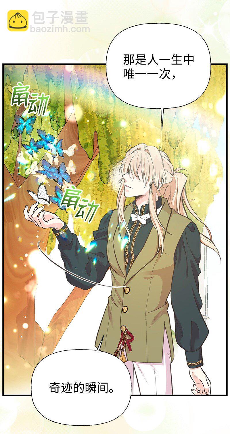 71 魔法季节17