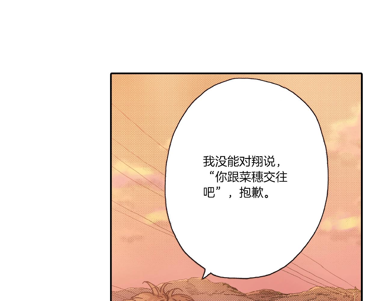 第30话 夕阳下的你19