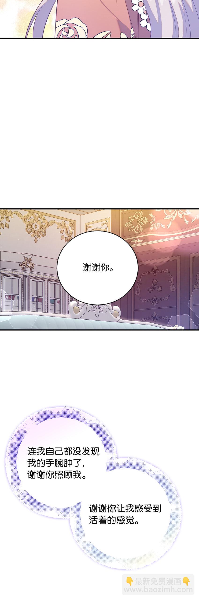 27 暗流涌动的会面50