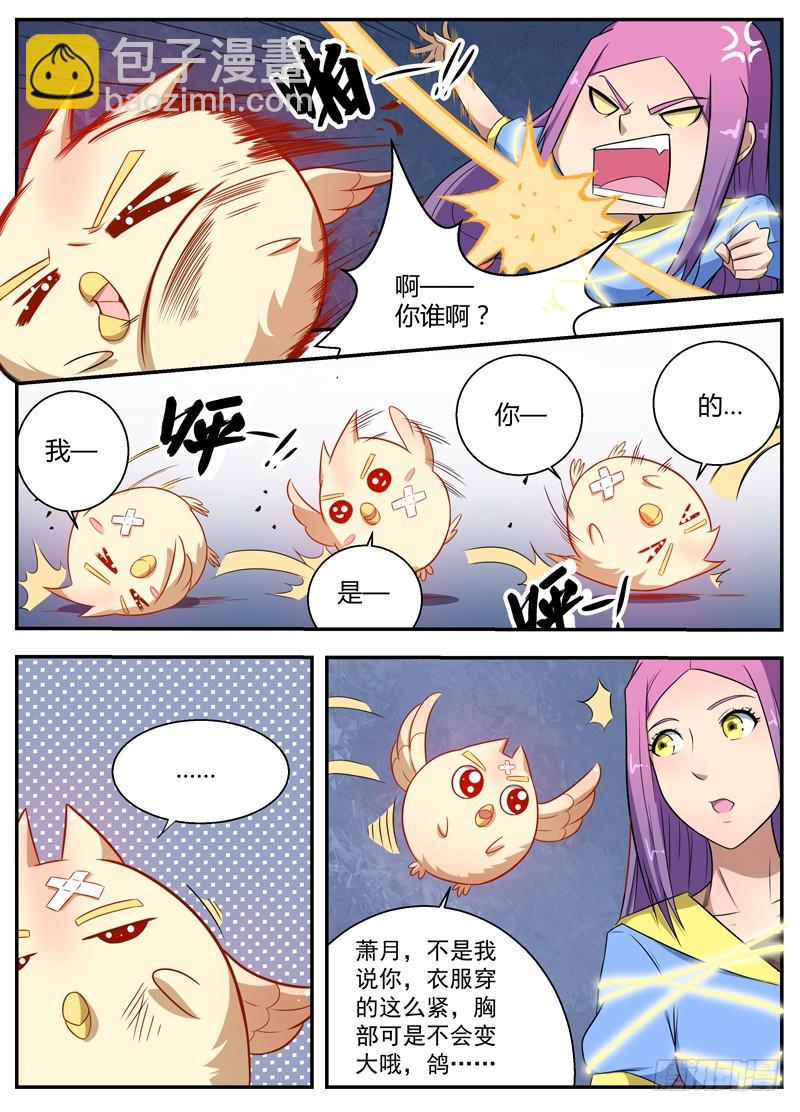 055鸽……1