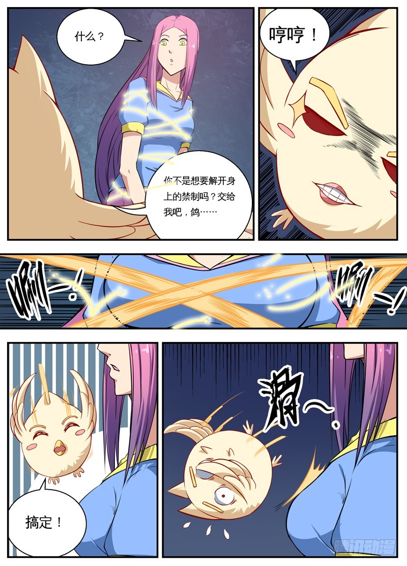 055鸽……3