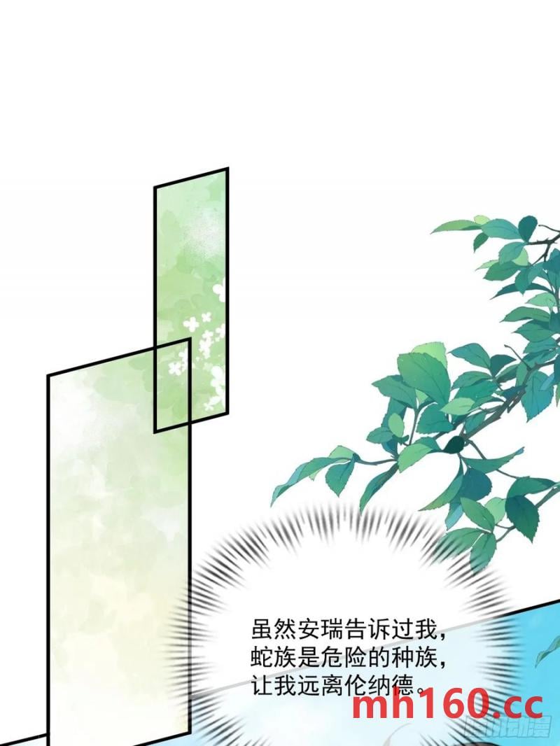 竞选的秘密0