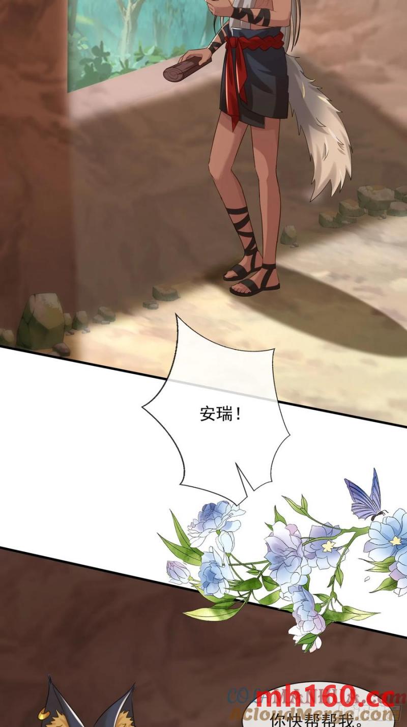 永不凋零的花2