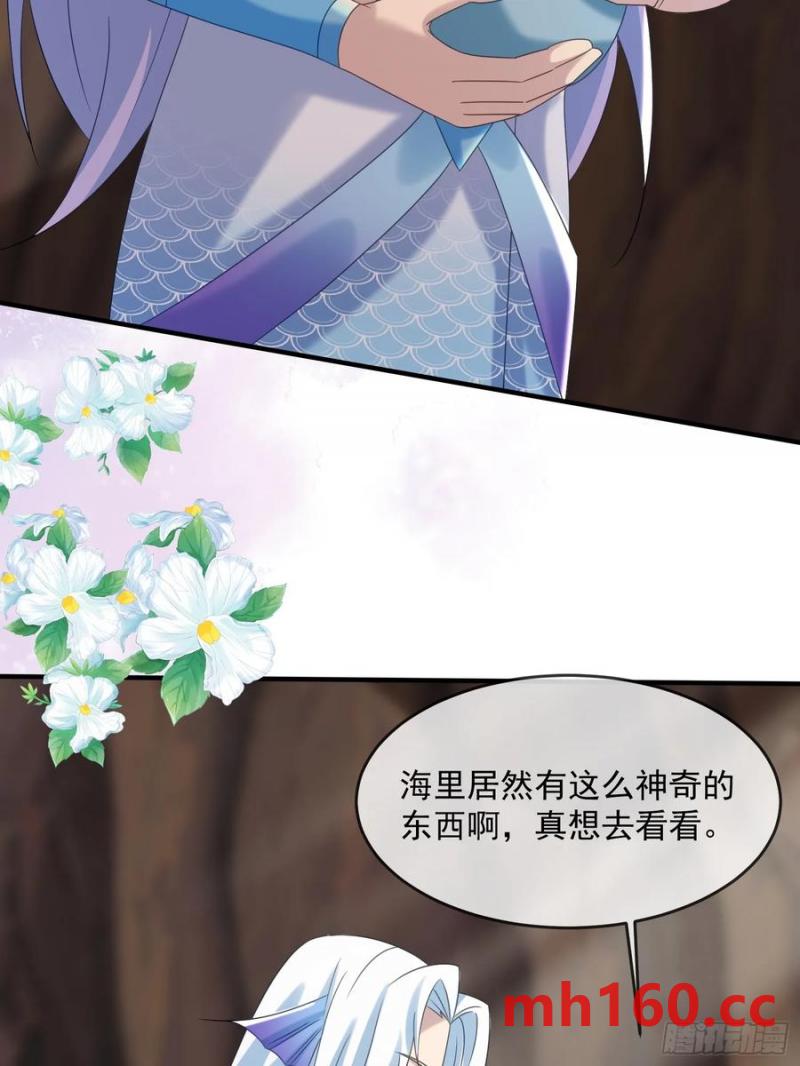 永不凋零的花25