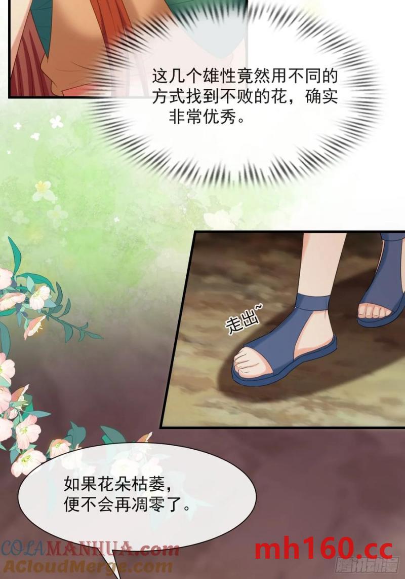 永不凋零的花28