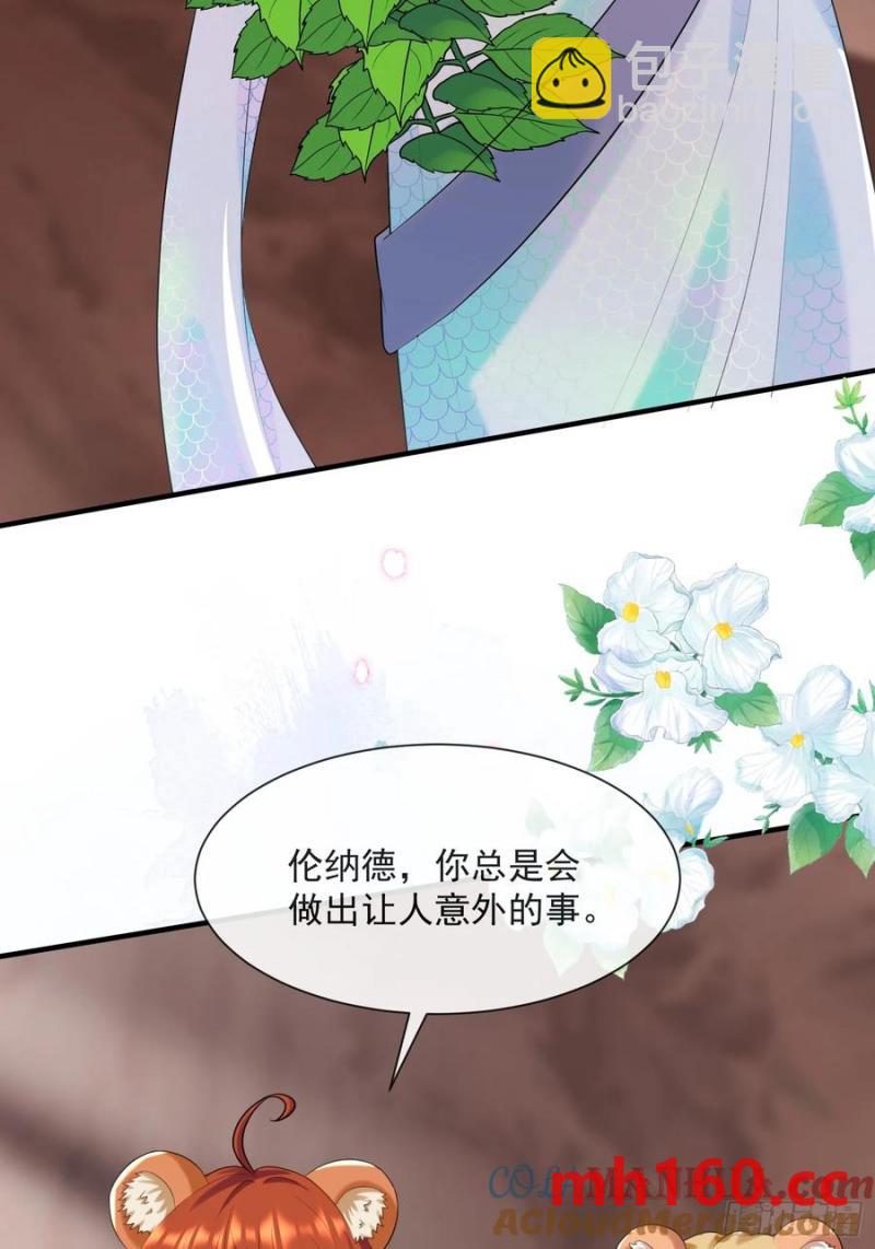 永不凋零的花30