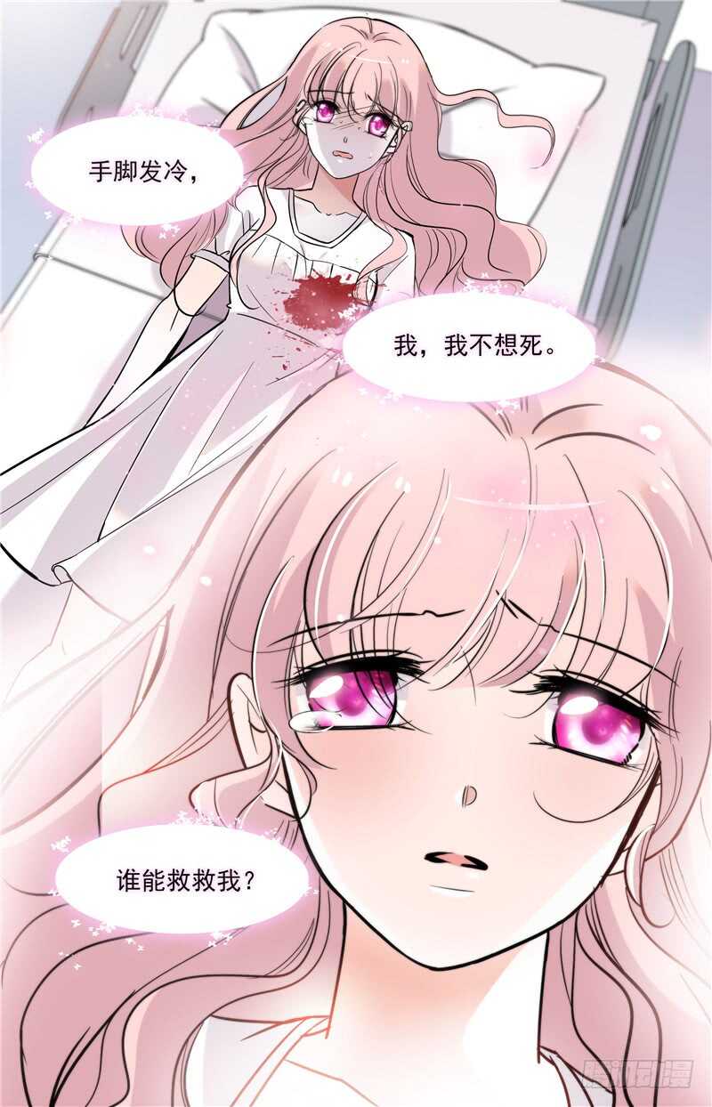 第五十话 守护之狼2