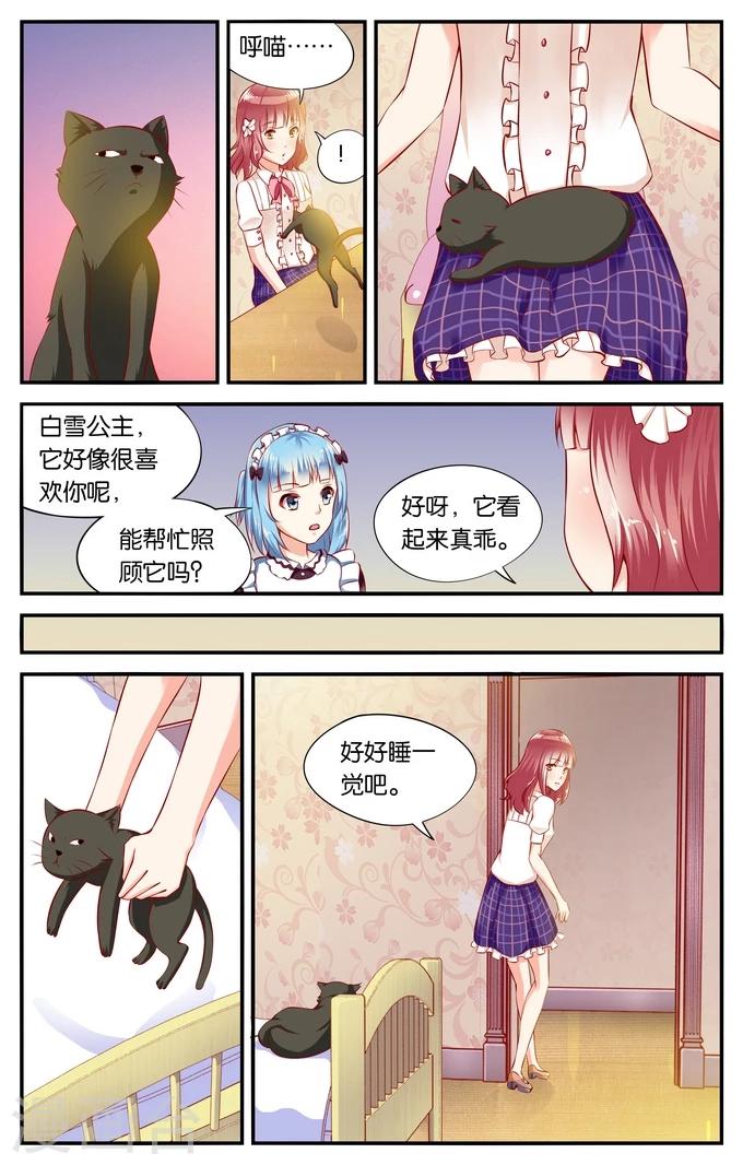 第37话 喵喵喵喵大爷驾到(2)2