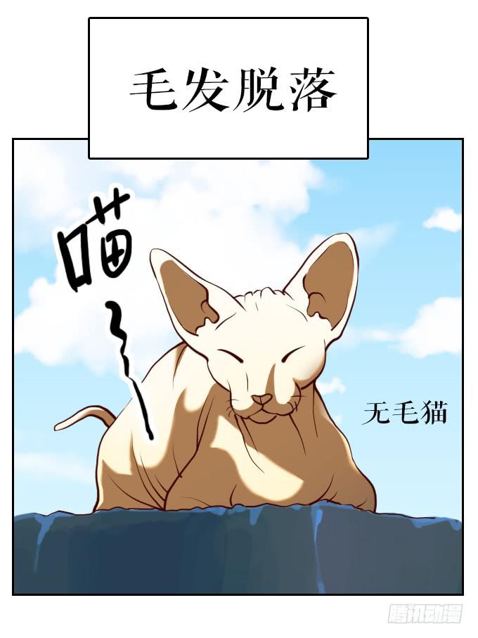 热力无限（一）21