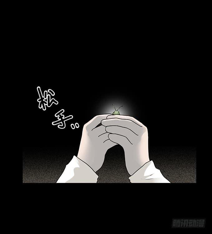 还乡（二/完）16