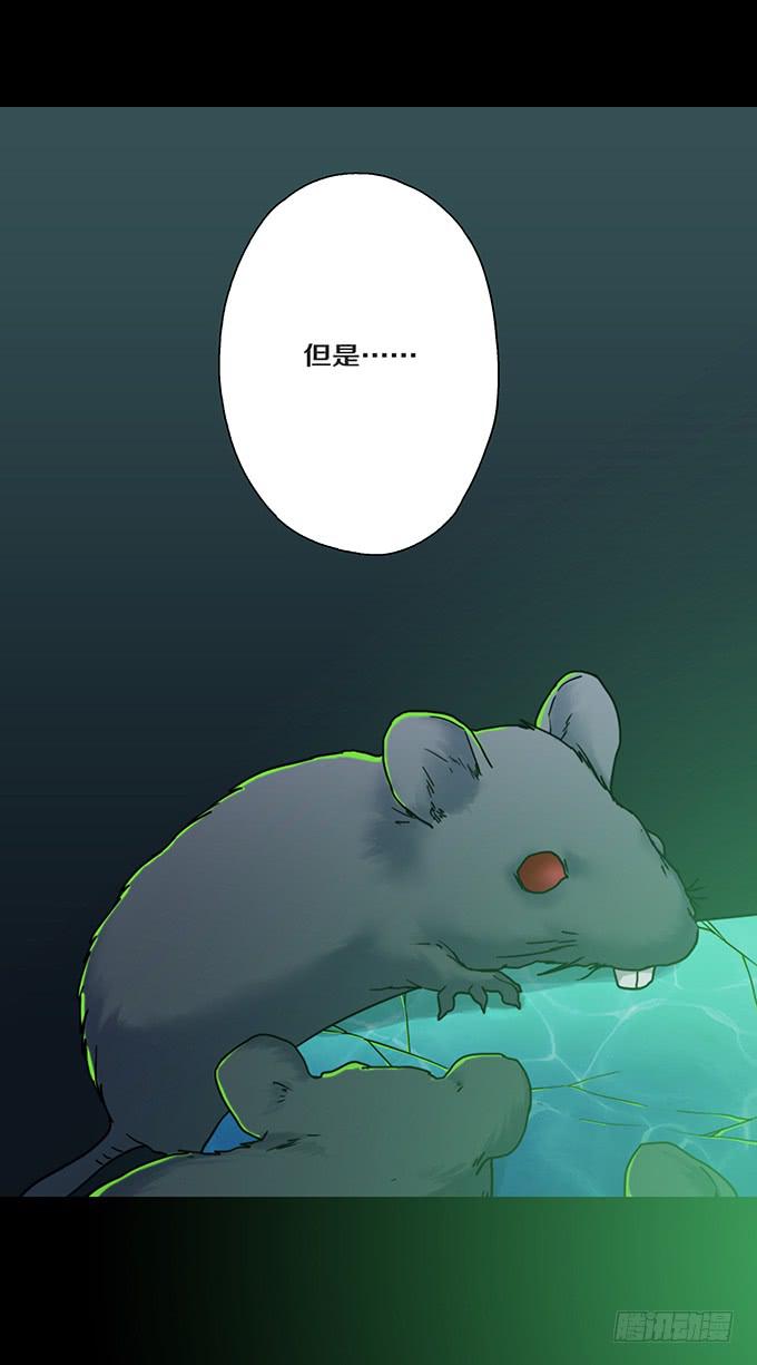 头脑（五/完）26