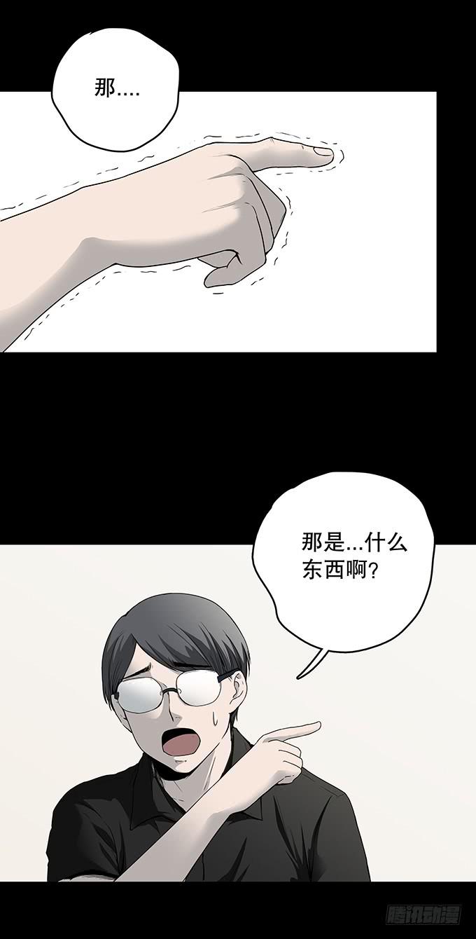 污染报导17