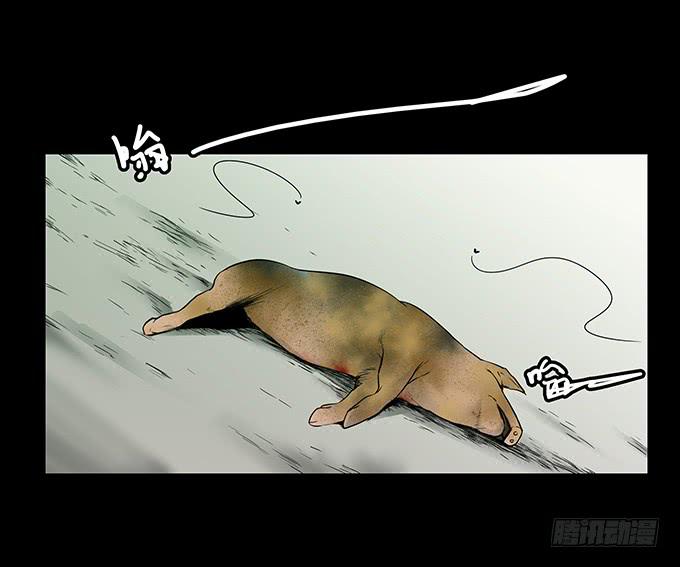 污染报导27