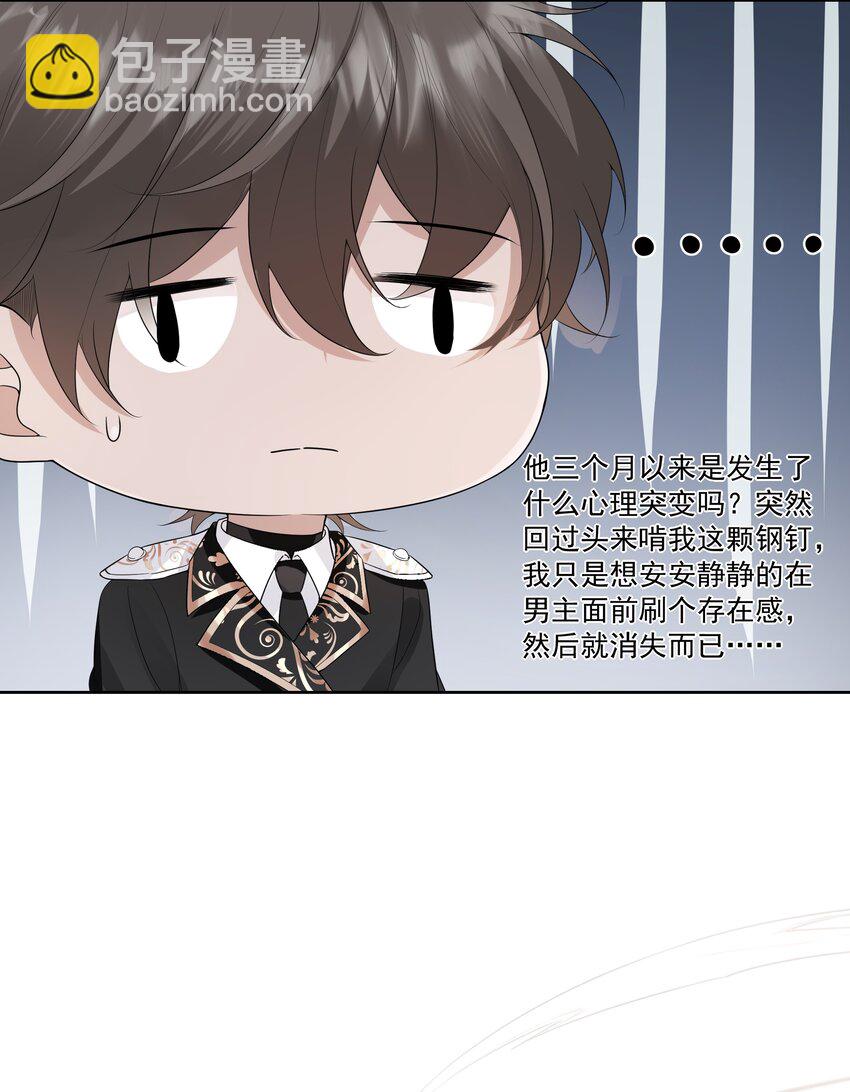 008 小猫咪~33